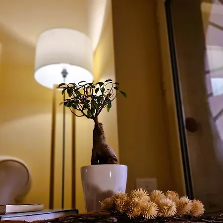 Maison Des Fleurs