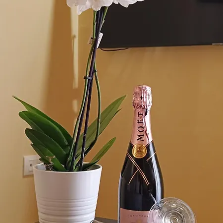 Maison Des Fleurs