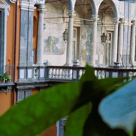 招待所 Maison Des Fleurs