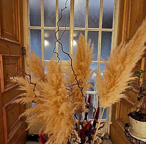 Maison Des Fleurs 4*