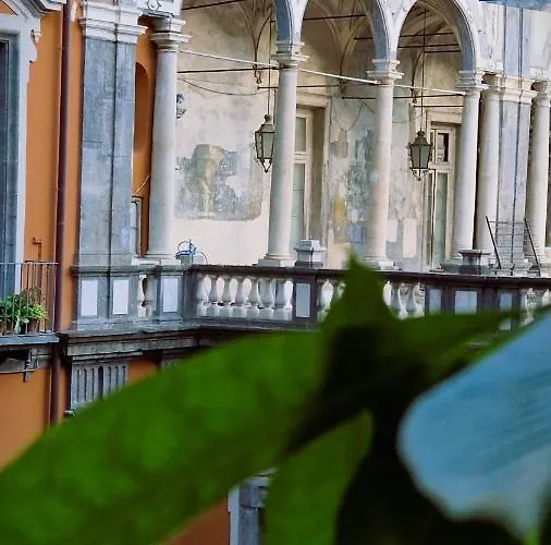 게스트하우스 Maison Des Fleurs